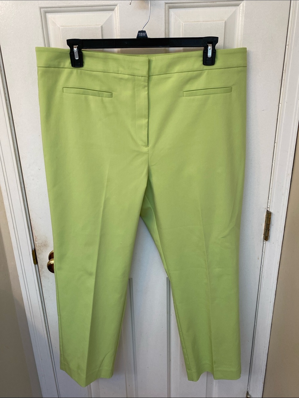 Melanie Lyne Classic Stretch Ankle Pants in Light Green